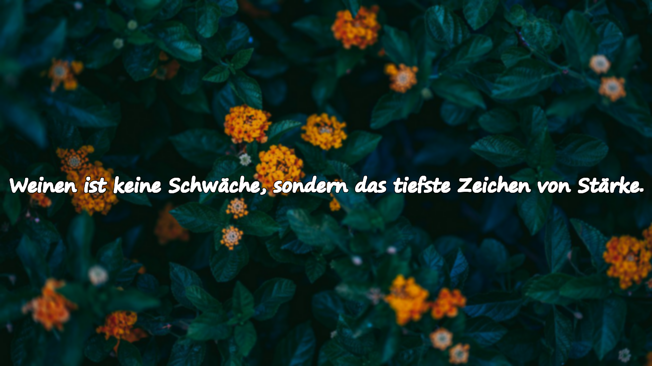 Worte über das Weinen und die Stärke