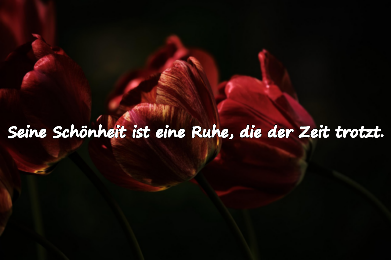 Seine Schönheit ist eine Ruhe, die der Zeit trotzt.