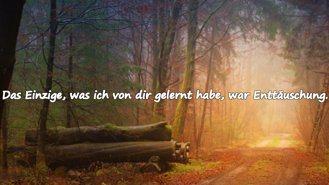 Das Einzige, was ich von dir gelernt habe, war Enttäuschung.