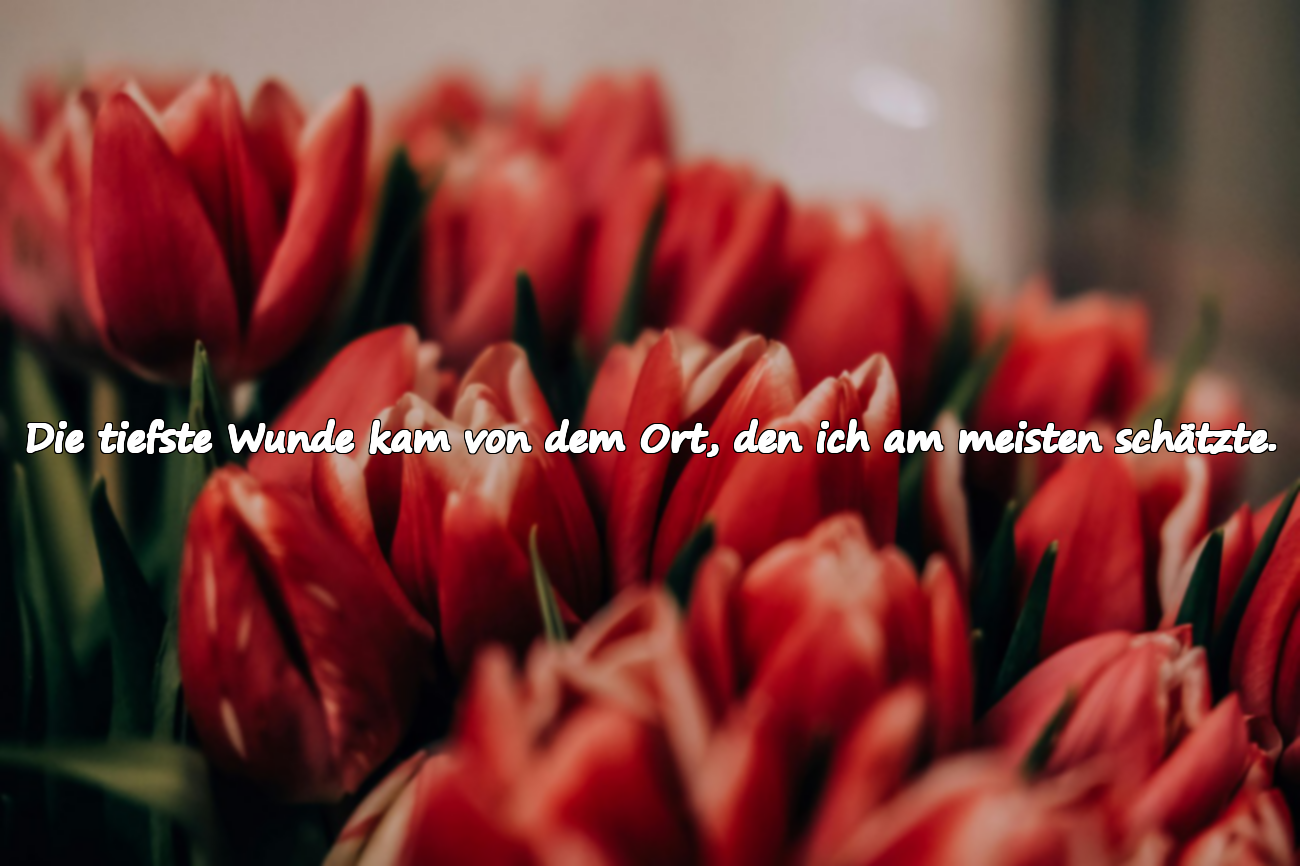 Die tiefste Wunde kam von dem Ort, den ich am meisten schätzte.