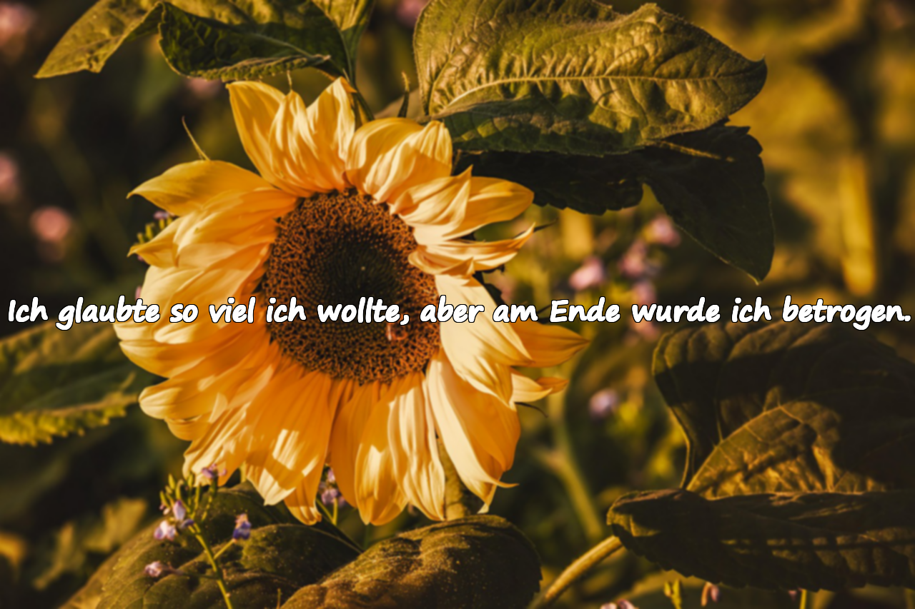Ich glaubte so viel ich wollte, aber am Ende wurde ich betrogen.