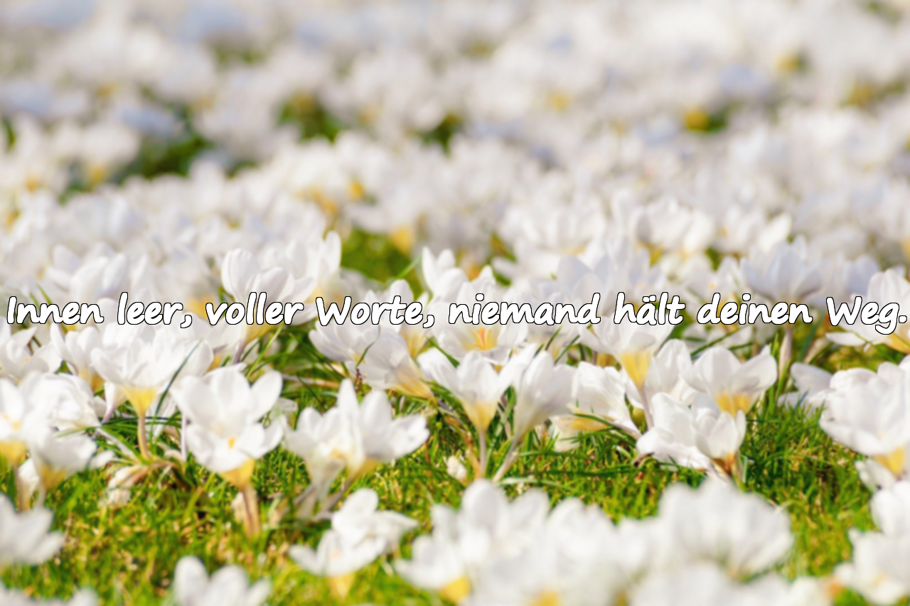 Innen leer, voller Worte, niemand hält deinen Weg.