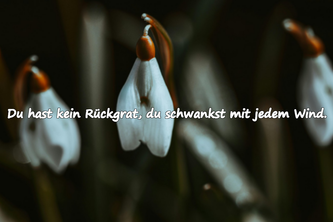 Du hast kein Rückgrat, du schwankst mit jedem Wind.
