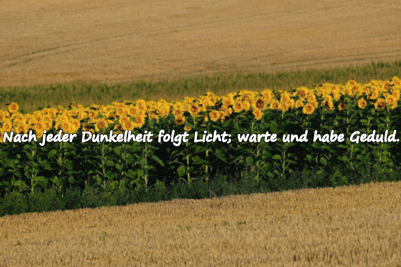 Nach jeder Dunkelheit folgt Licht; warte und habe Geduld.