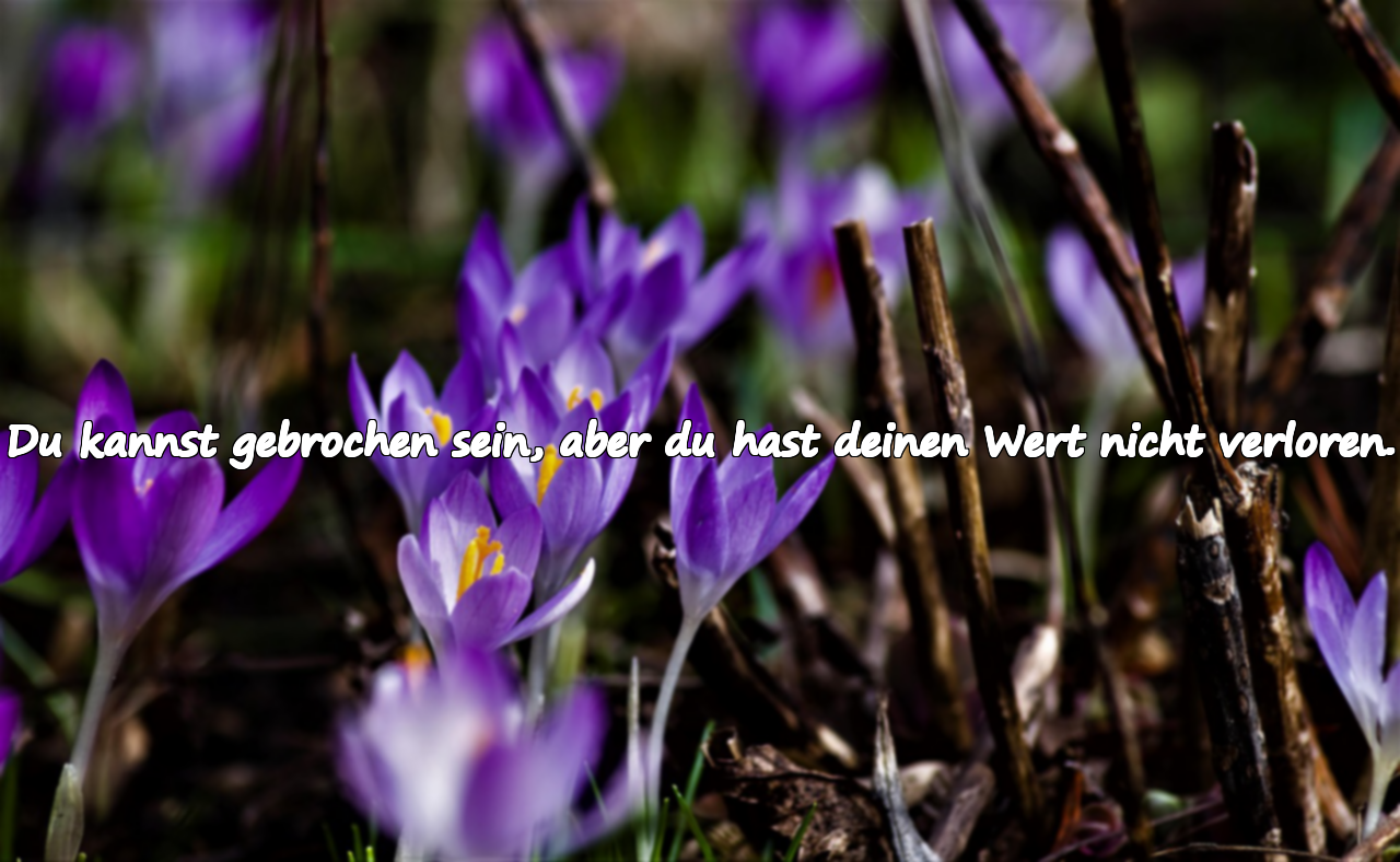 Du kannst gebrochen sein, aber du hast deinen Wert nicht verloren.