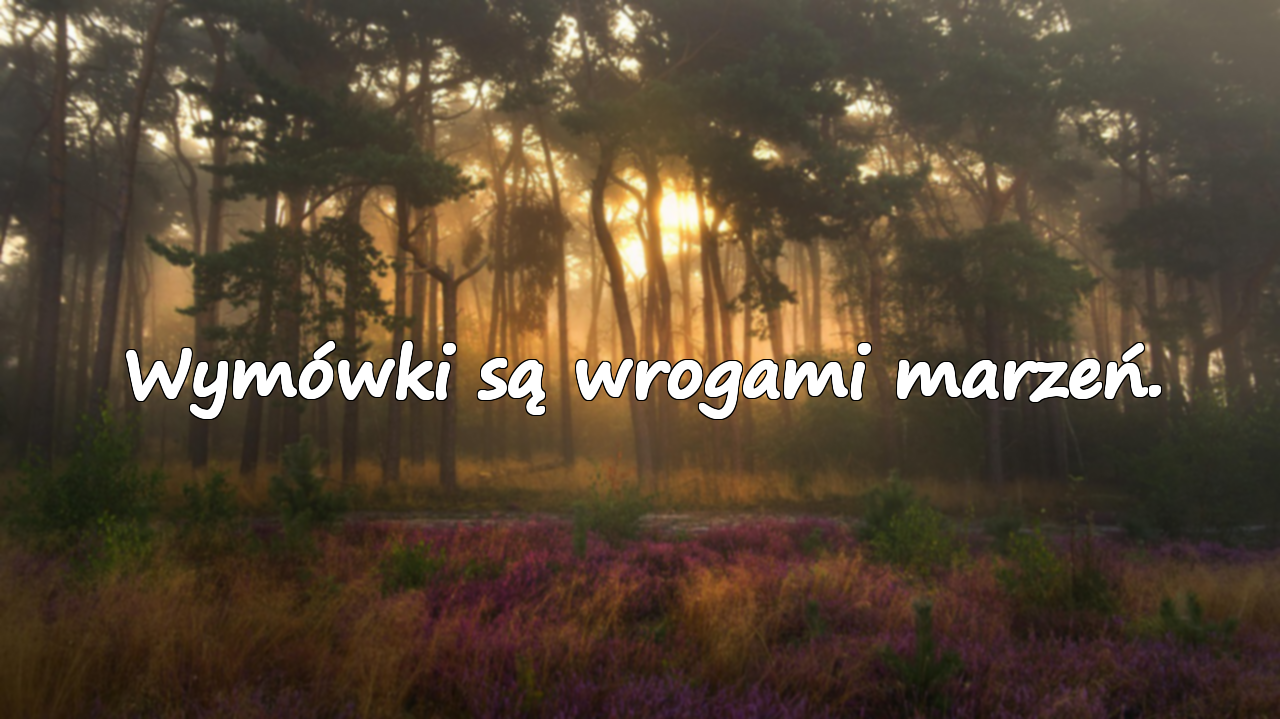 Wymówki i Działanie