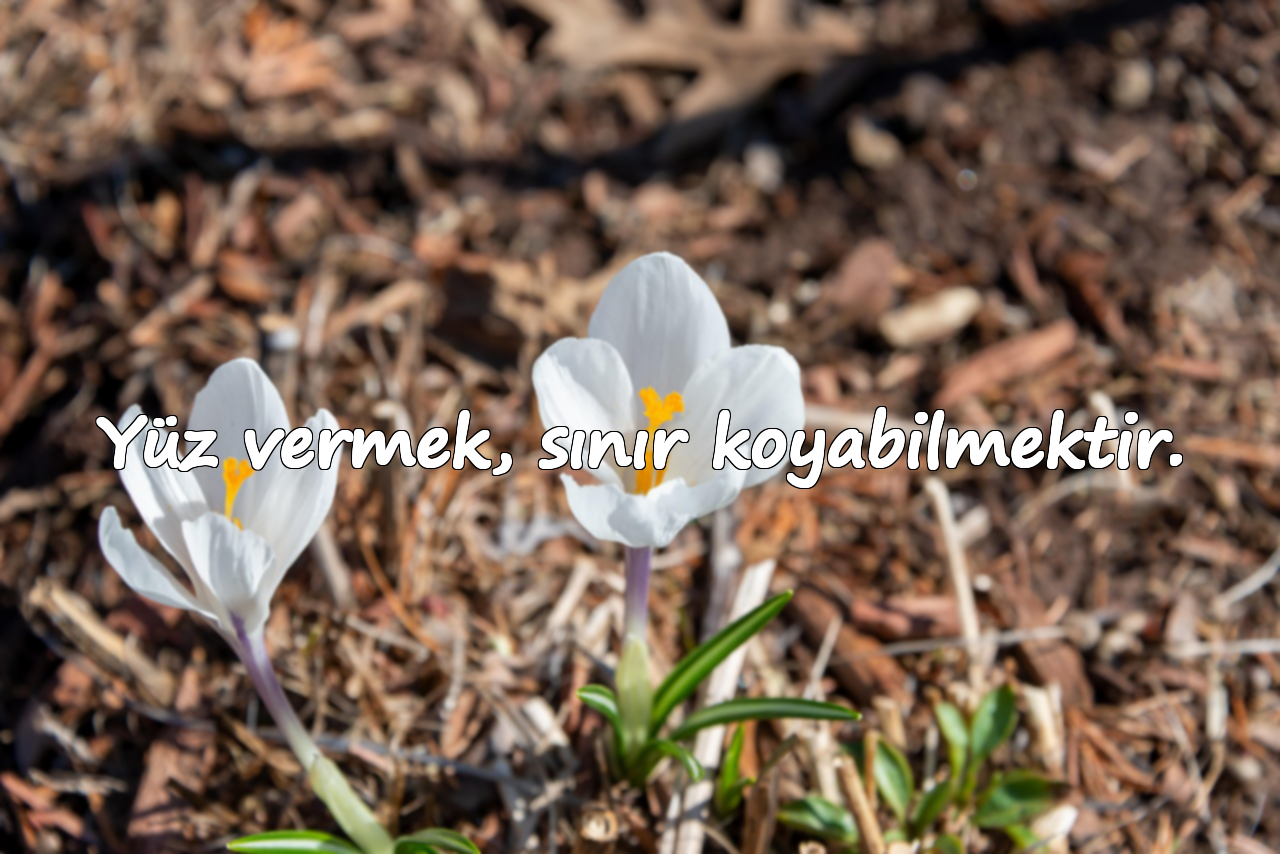 Yüz vermek, sınır koyabilmektir.