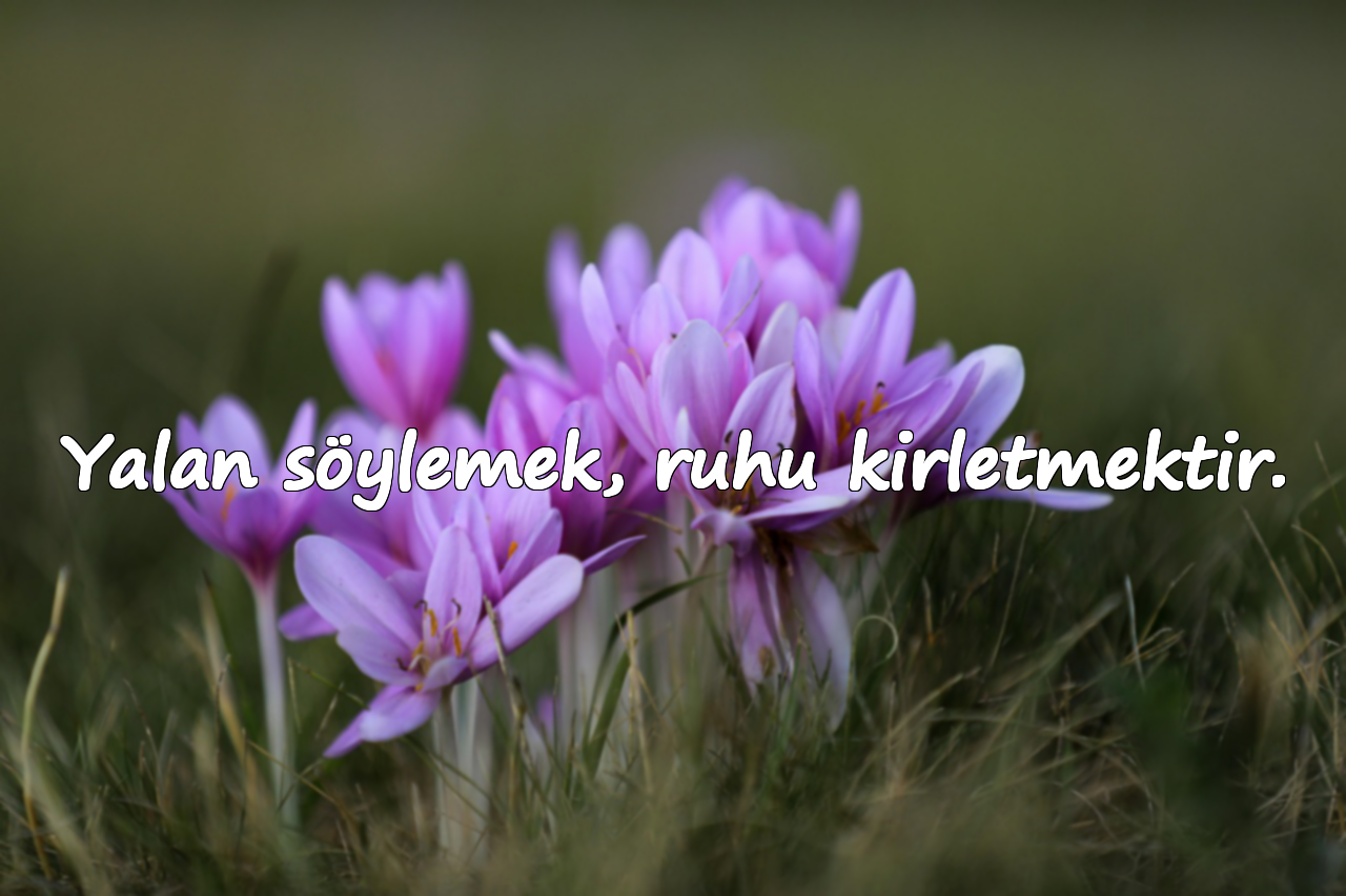 Yalan söylemek, ruhu kirletmektir.