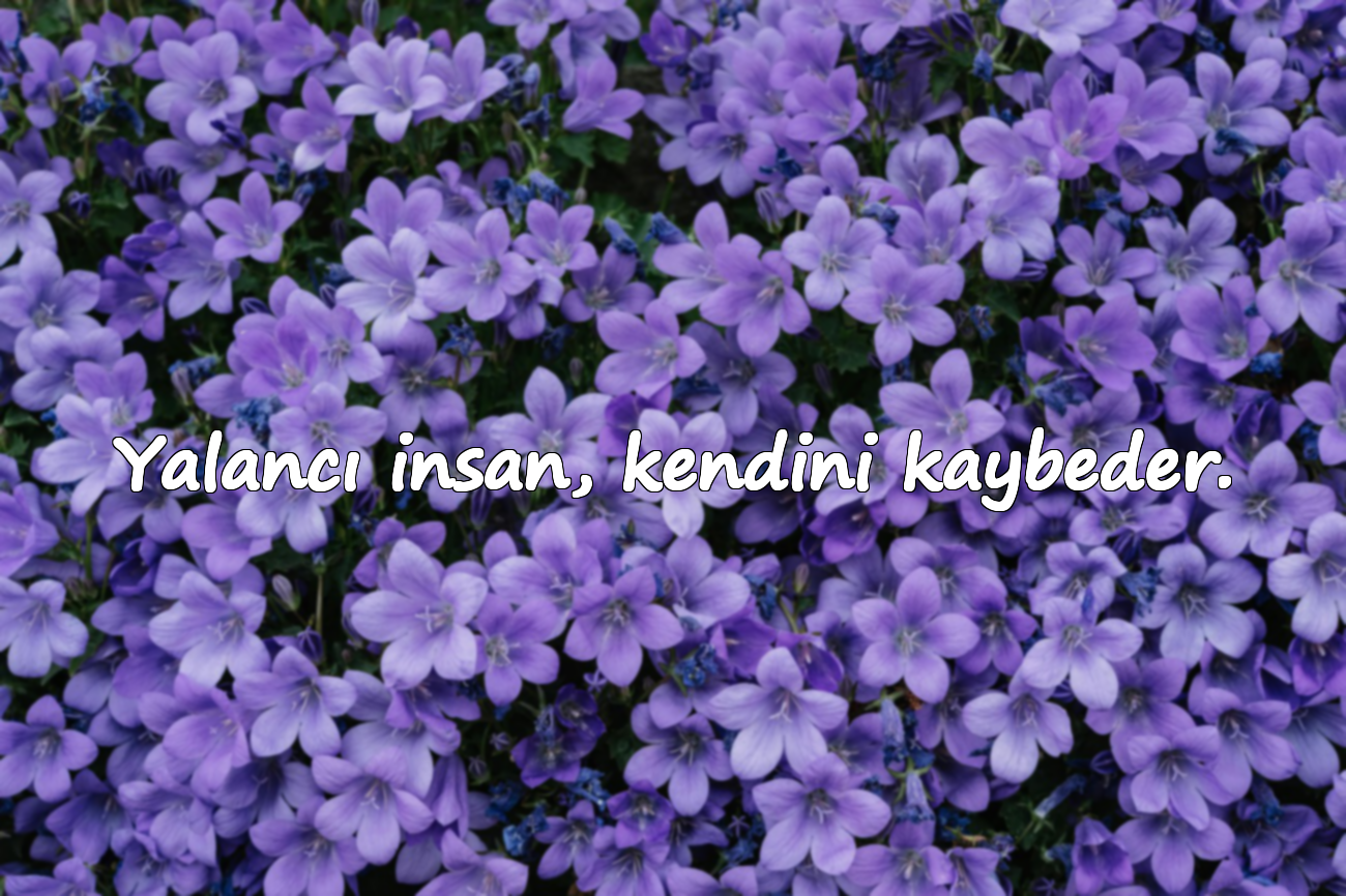Yalancı insan, kendini kaybeder.