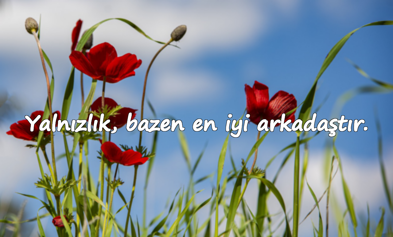 Yalnızlık, bazen en iyi arkadaştır.