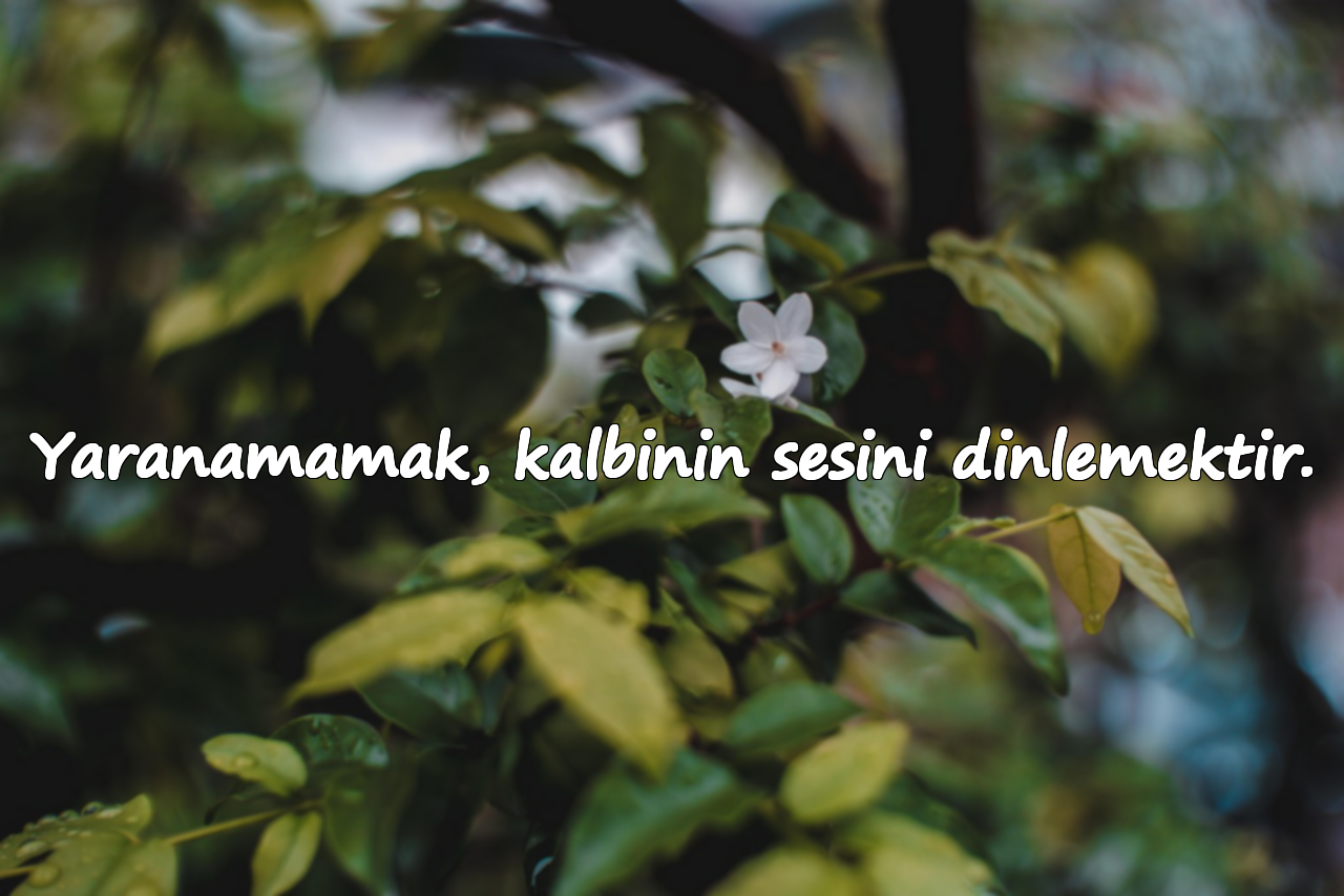 Yaranamamak, kalbinin sesini dinlemektir.