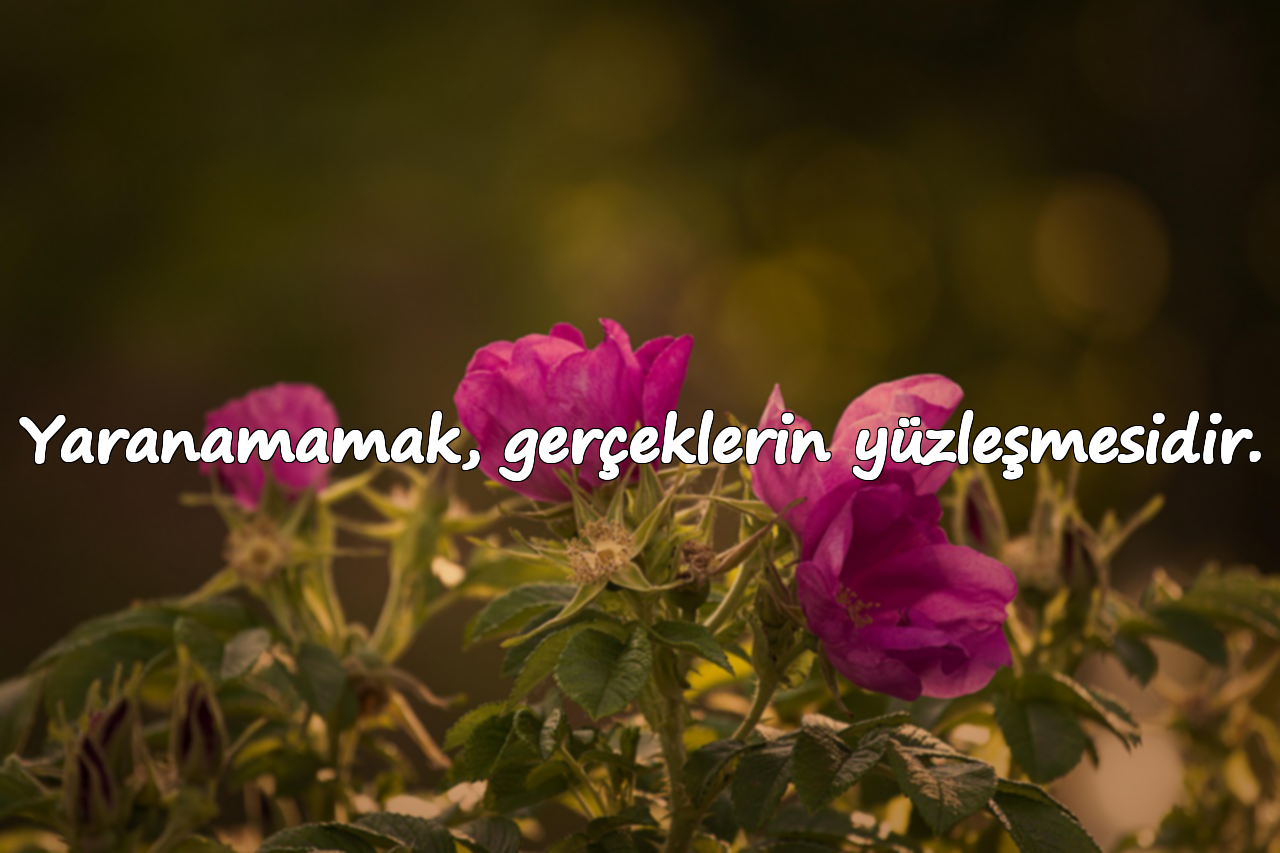 Yaranamamak, gerçeklerin yüzleşmesidir.