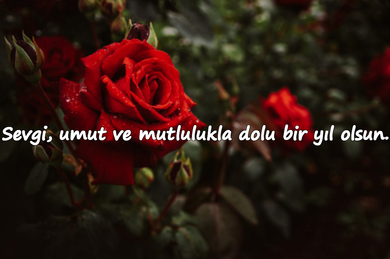 Sevgi, umut ve mutlulukla dolu bir yıl olsun.