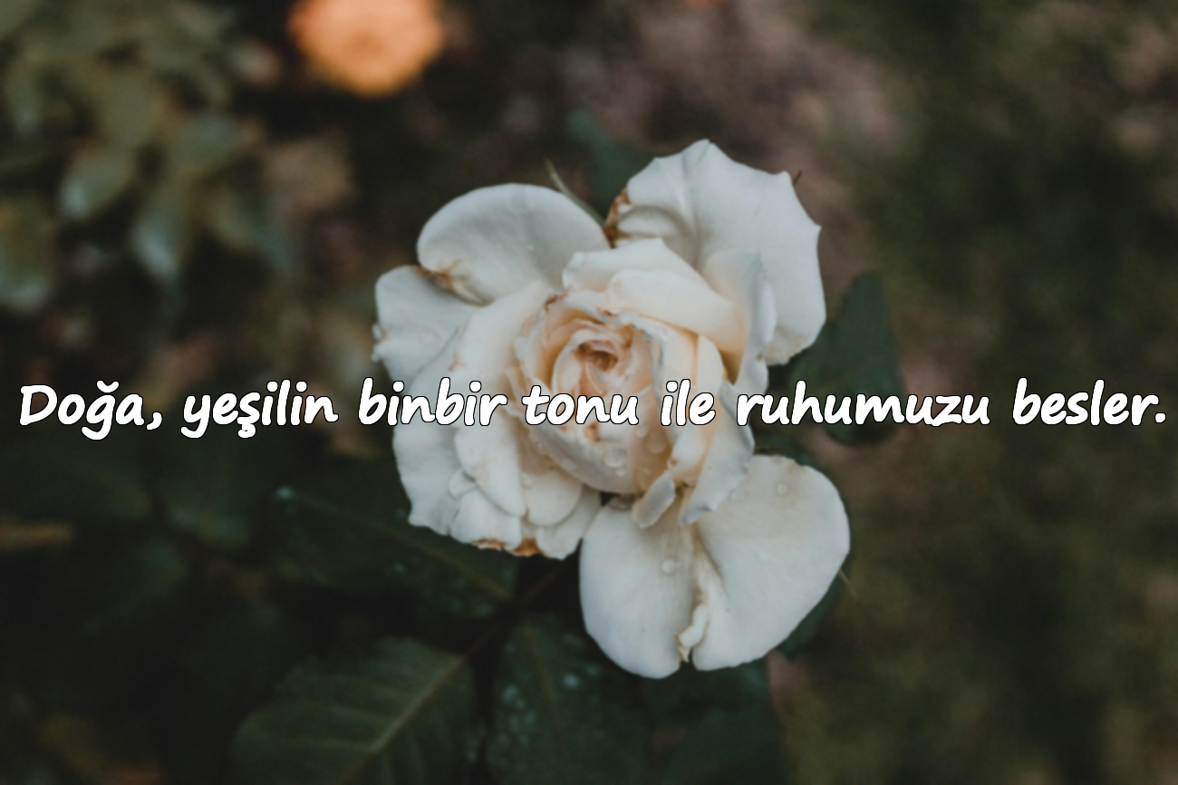 Doğa, yeşilin binbir tonu ile ruhumuzu besler.