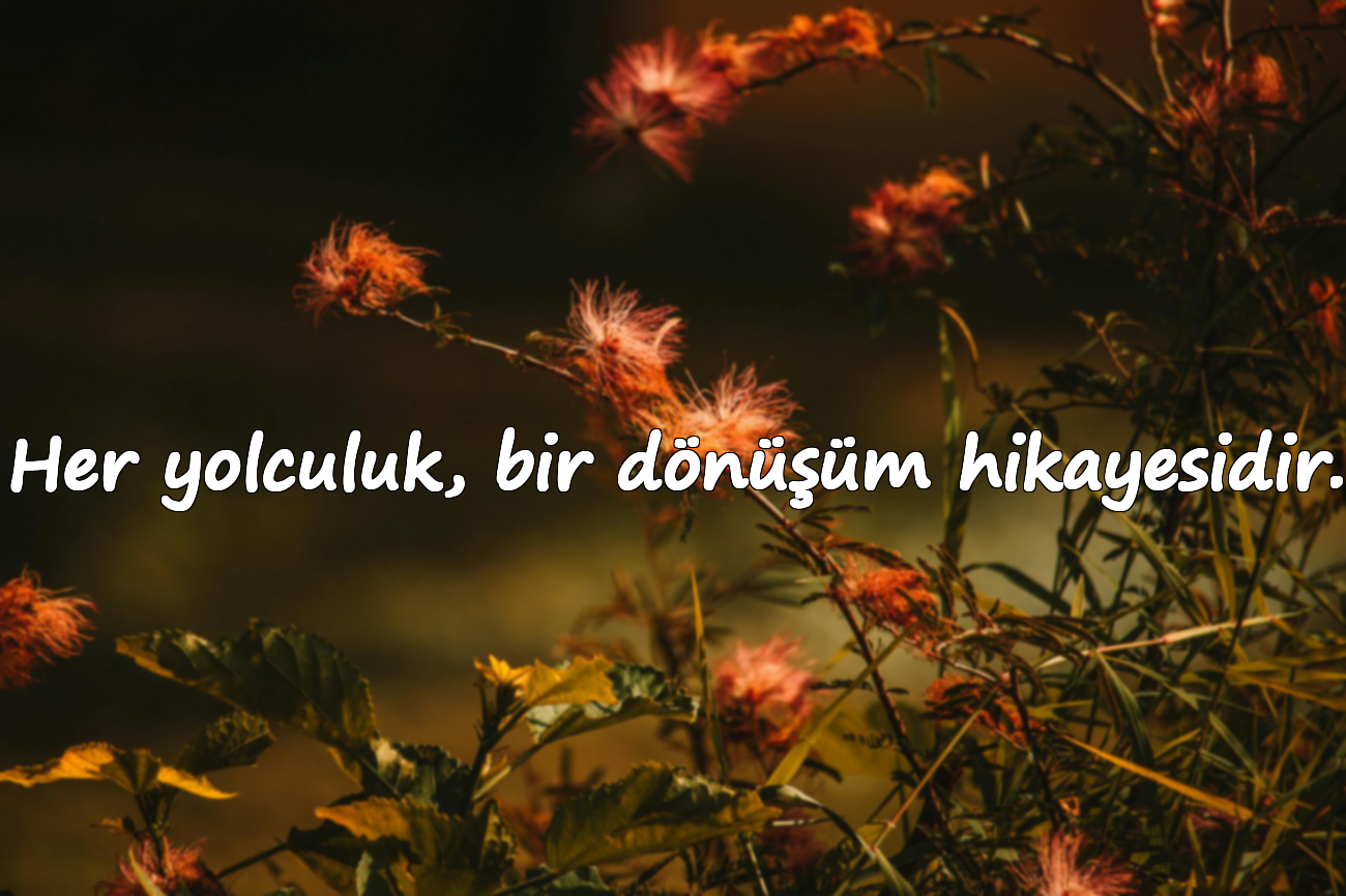 Her yolculuk, bir dönüşüm hikayesidir.