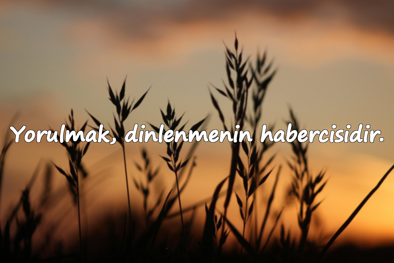 Yorulmak, dinlenmenin habercisidir.