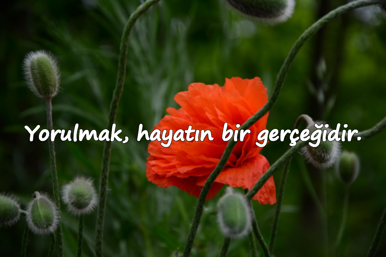 Yorulmak, hayatın bir gerçeğidir.