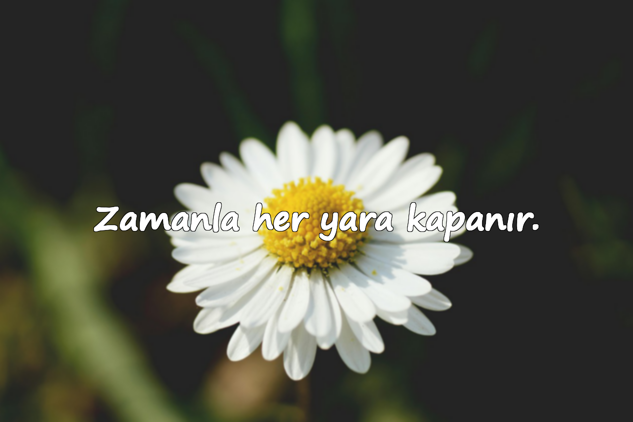 Zamanla her yara kapanır.