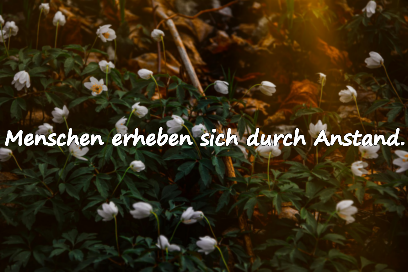 Zitate über Anstand und Höflichkeit