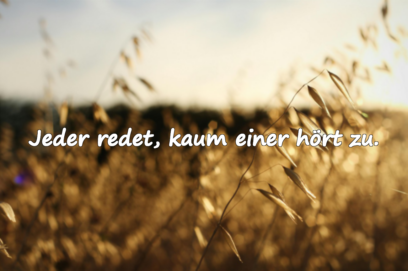 Zitate über Arroganz