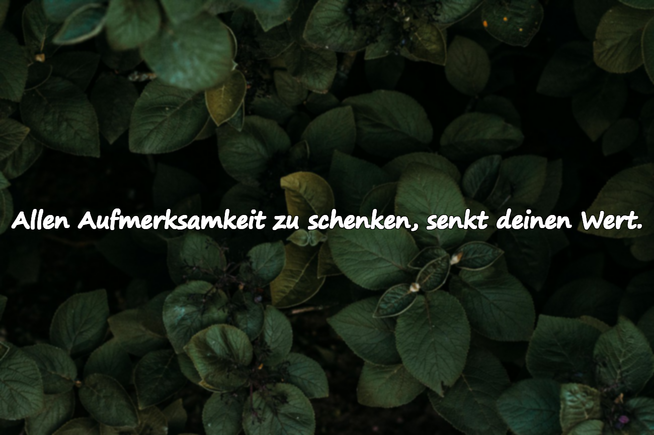 Zitate über Aufmerksamkeit Geben