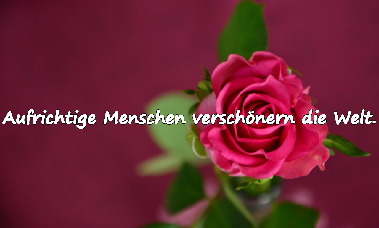 Aufrichtige Menschen verschönern die Welt.