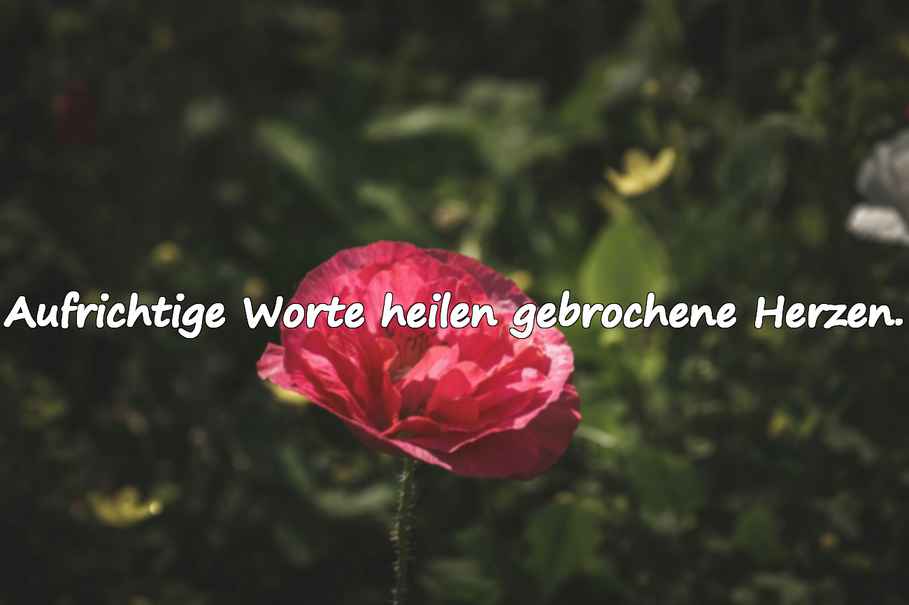Aufrichtige Worte heilen gebrochene Herzen.