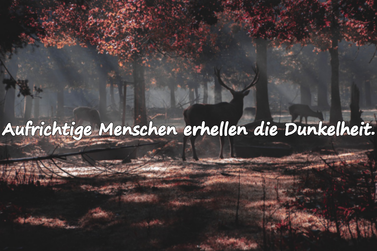 Aufrichtige Menschen erhellen die Dunkelheit.