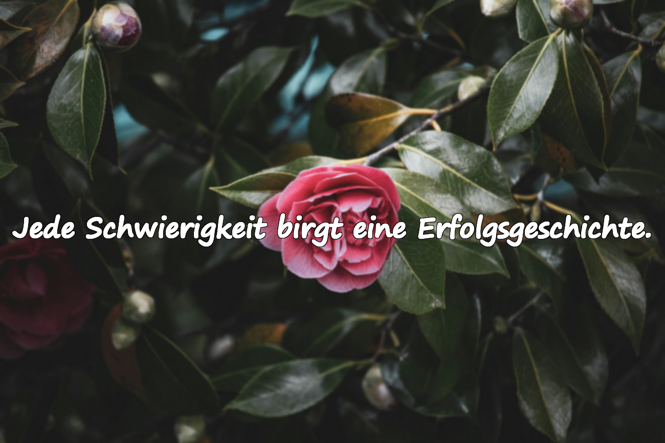 Zitate über Behinderung
