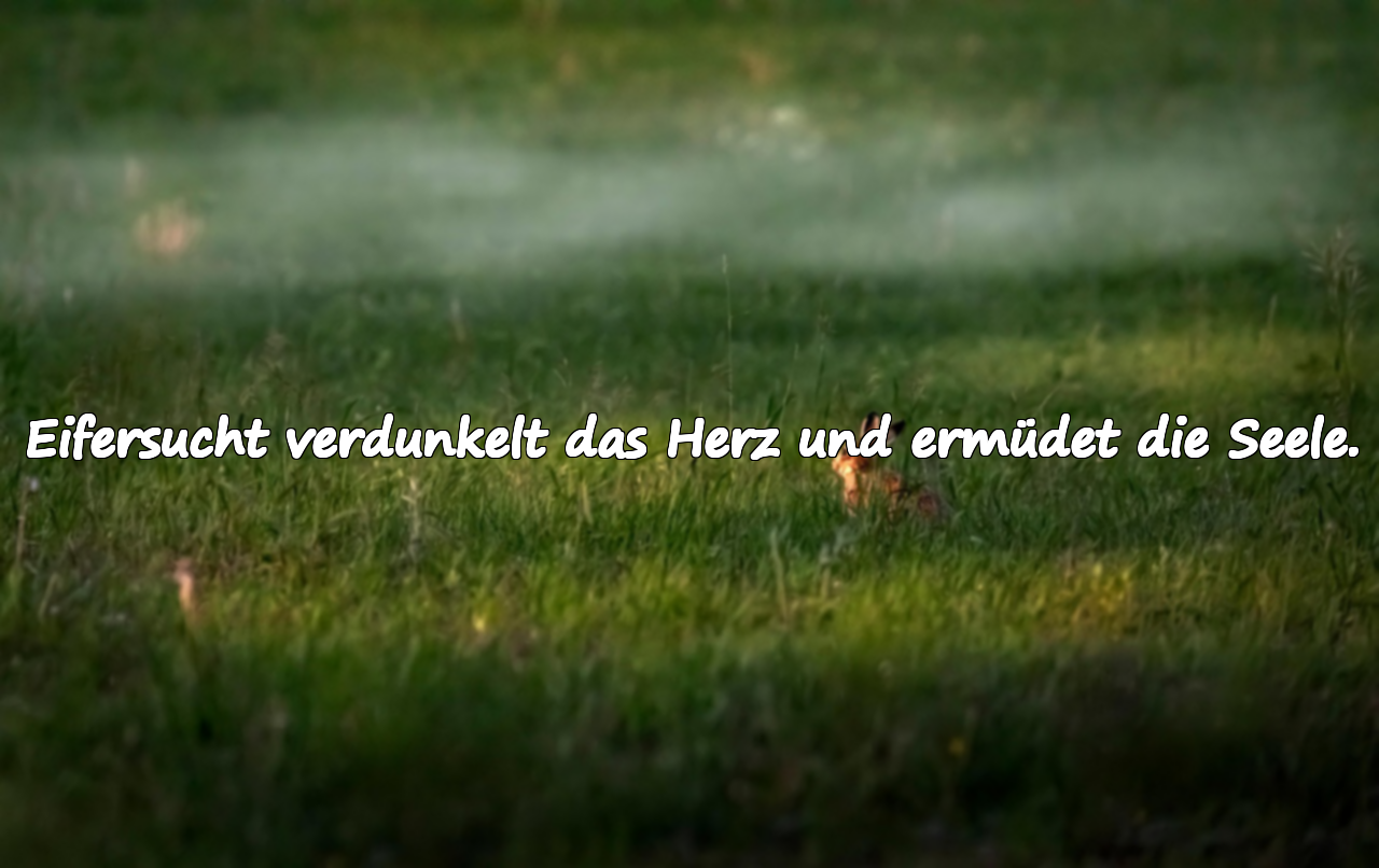 Eifersucht verdunkelt das Herz und ermüdet die Seele.