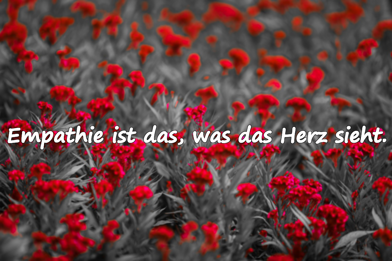 Zitate über Empathie