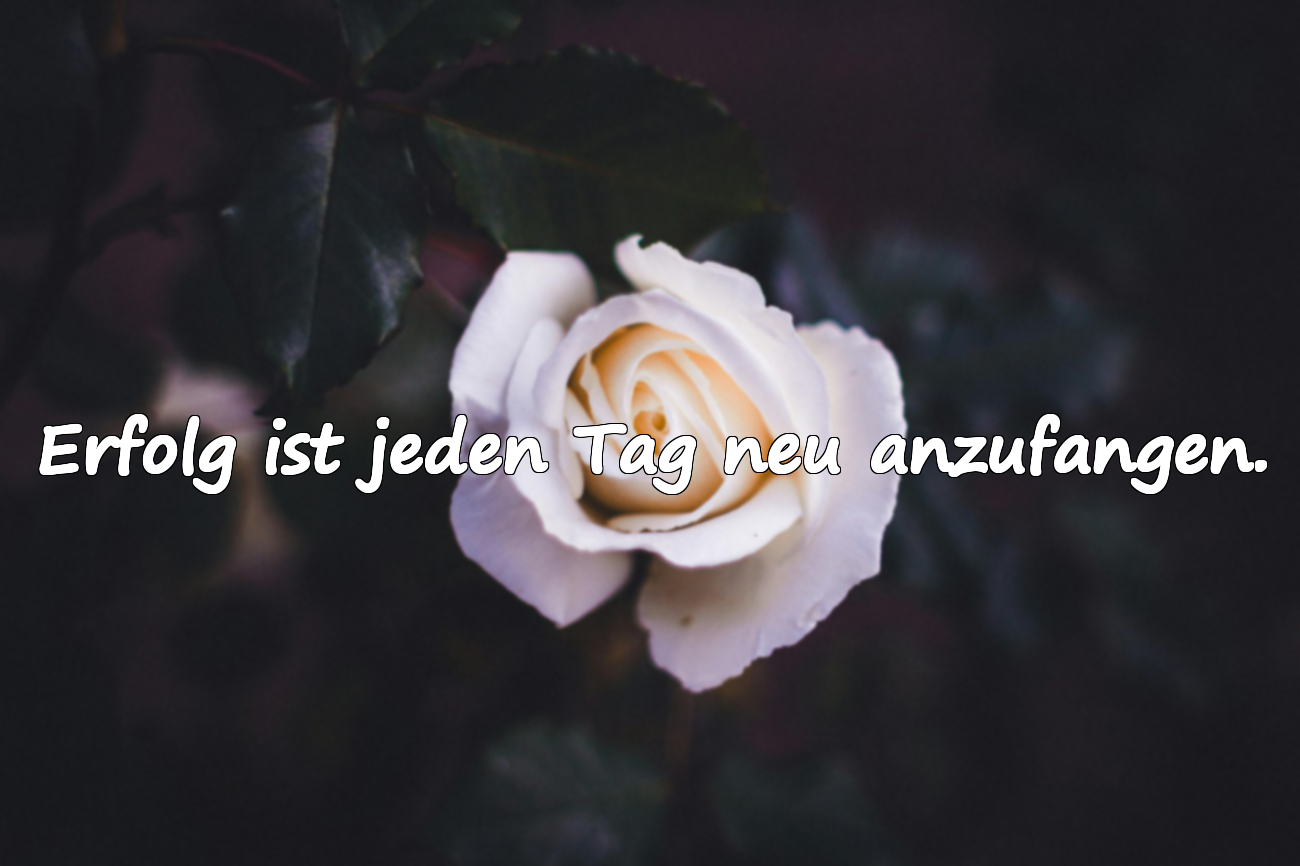 Zitate über Erfolg