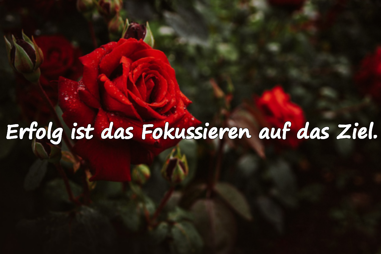 Zitate über Erfolg