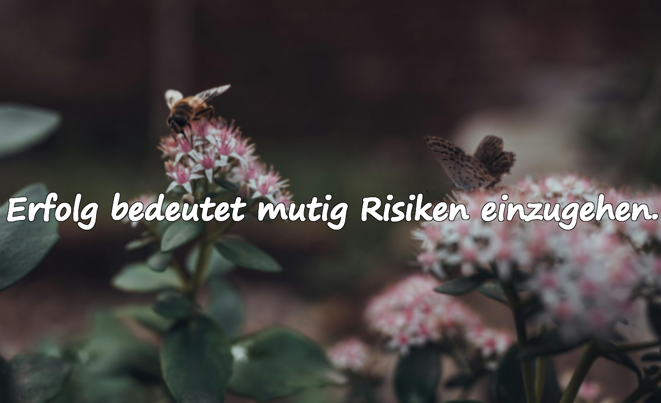 Zitate über Erfolg