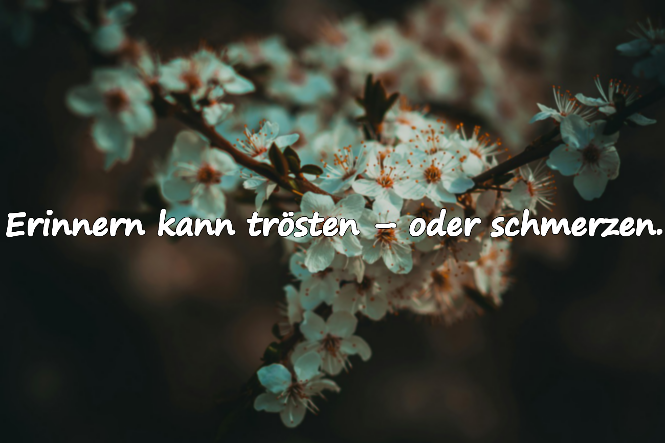 Zitate über Erinnerungen