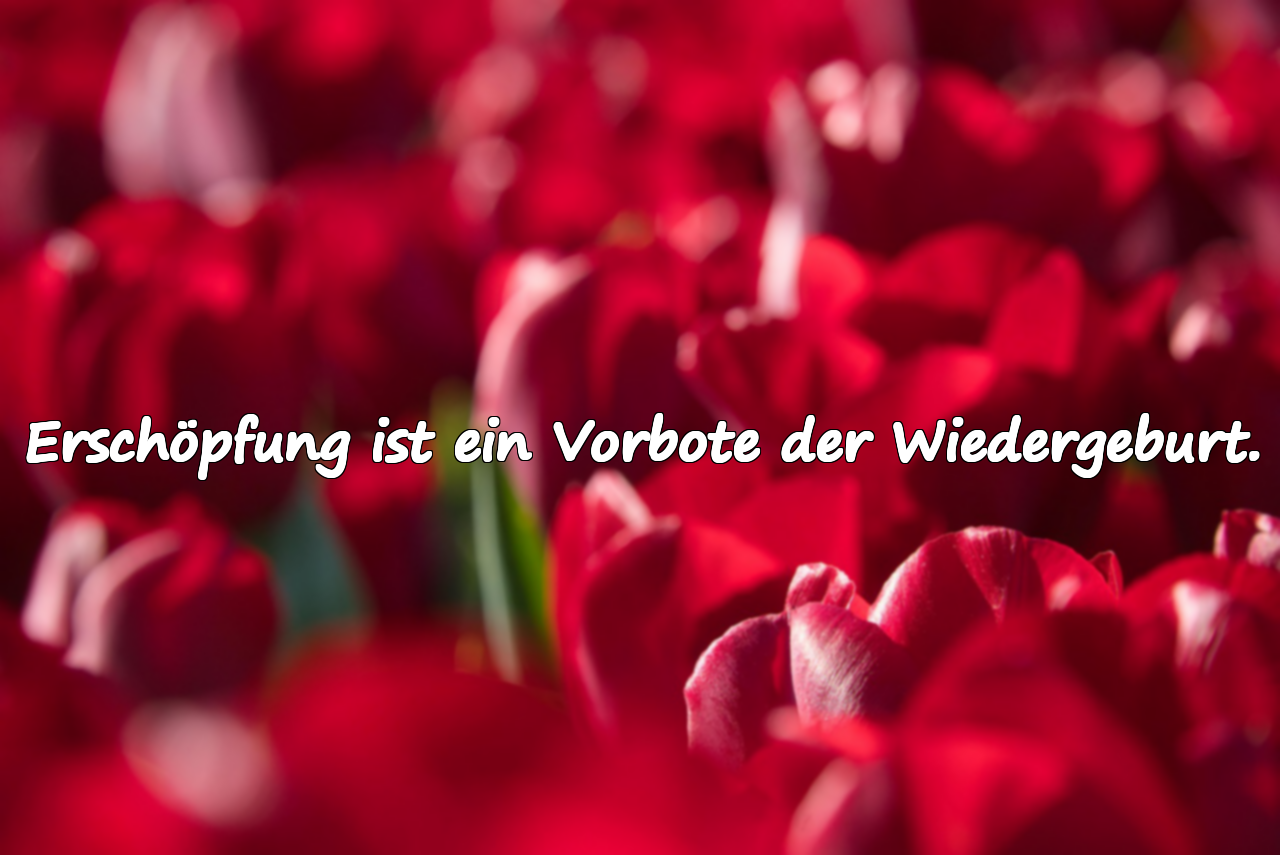 Erschöpfung ist ein Vorbote der Wiedergeburt.