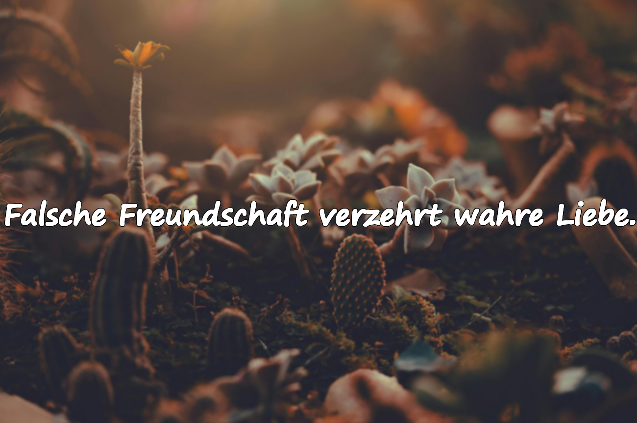 Falsche Freundschaft verzehrt wahre Liebe.