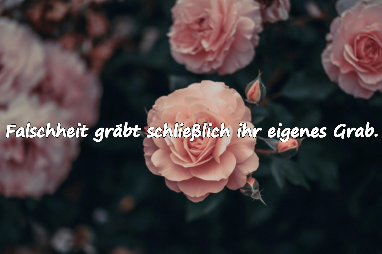 Falschheit gräbt schließlich ihr eigenes Grab.