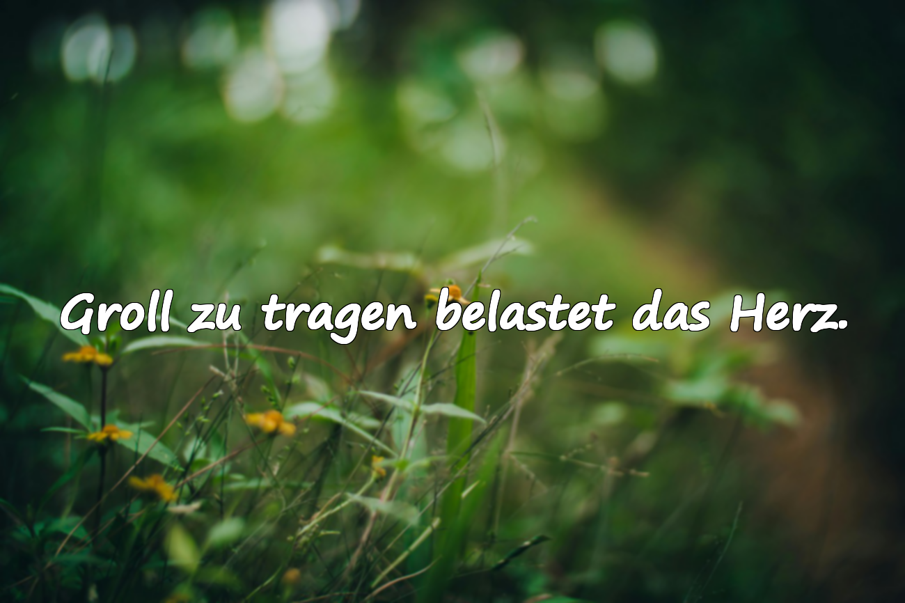Groll zu tragen belastet das Herz.