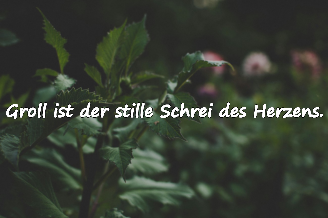 Groll ist der stille Schrei des Herzens.