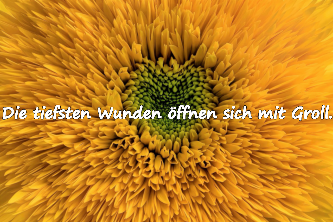 Die tiefsten Wunden öffnen sich mit Groll.