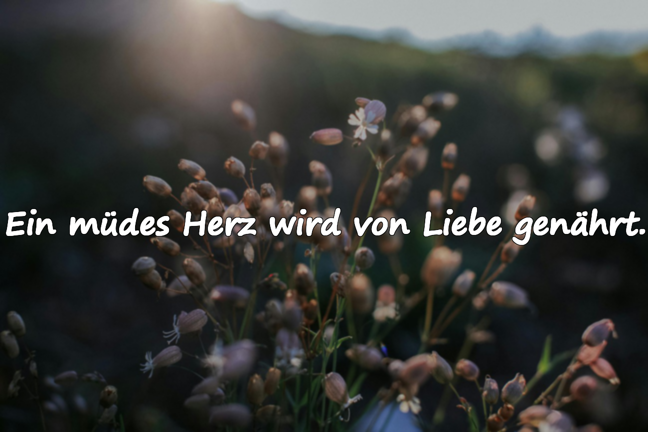 Zitate über Herzensmüdigkeit