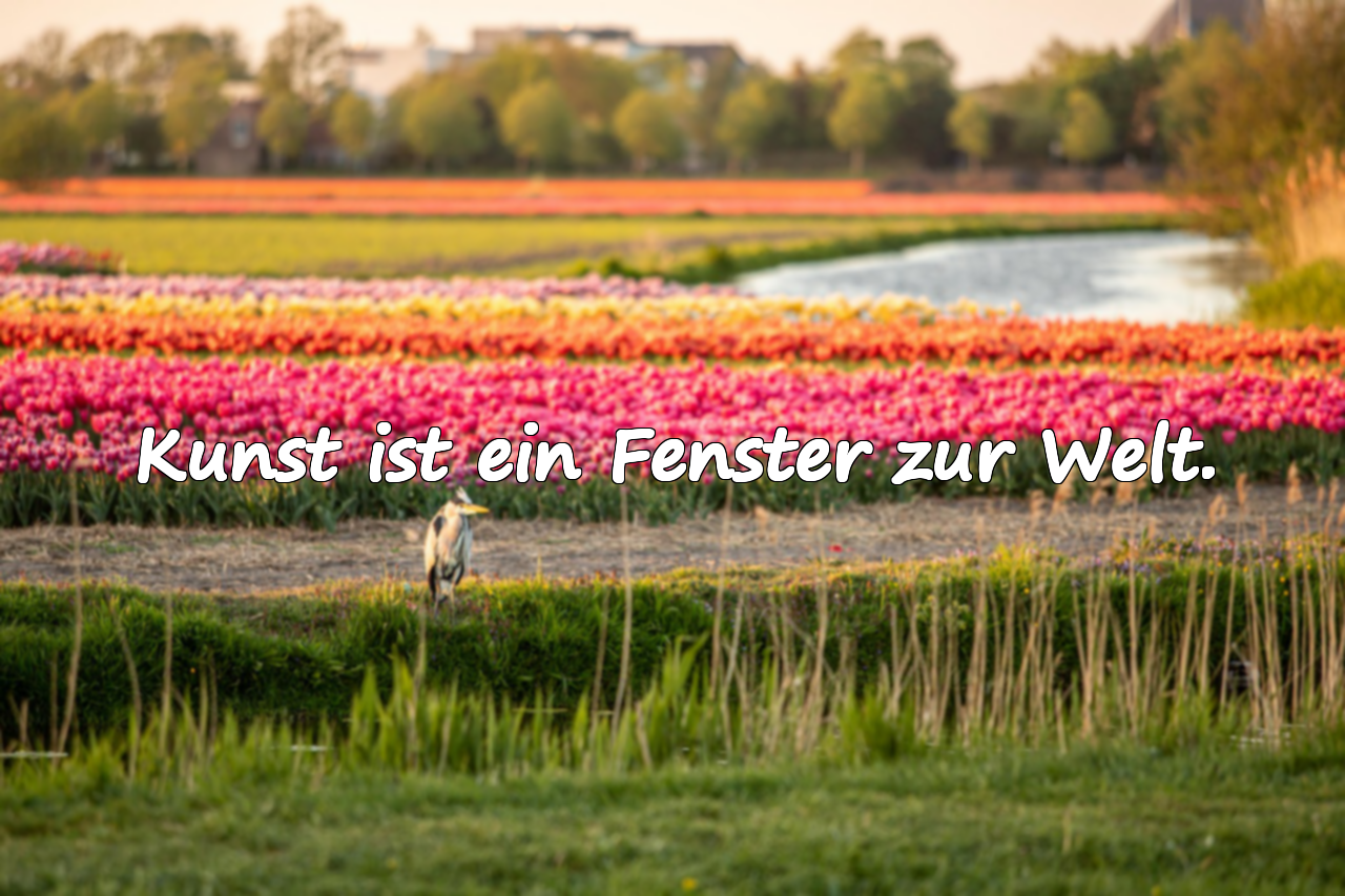 Kunst ist ein Fenster zur Welt.