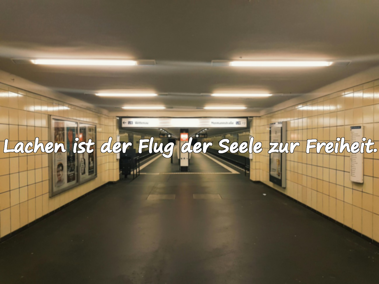 Lachen ist der Flug der Seele zur Freiheit.