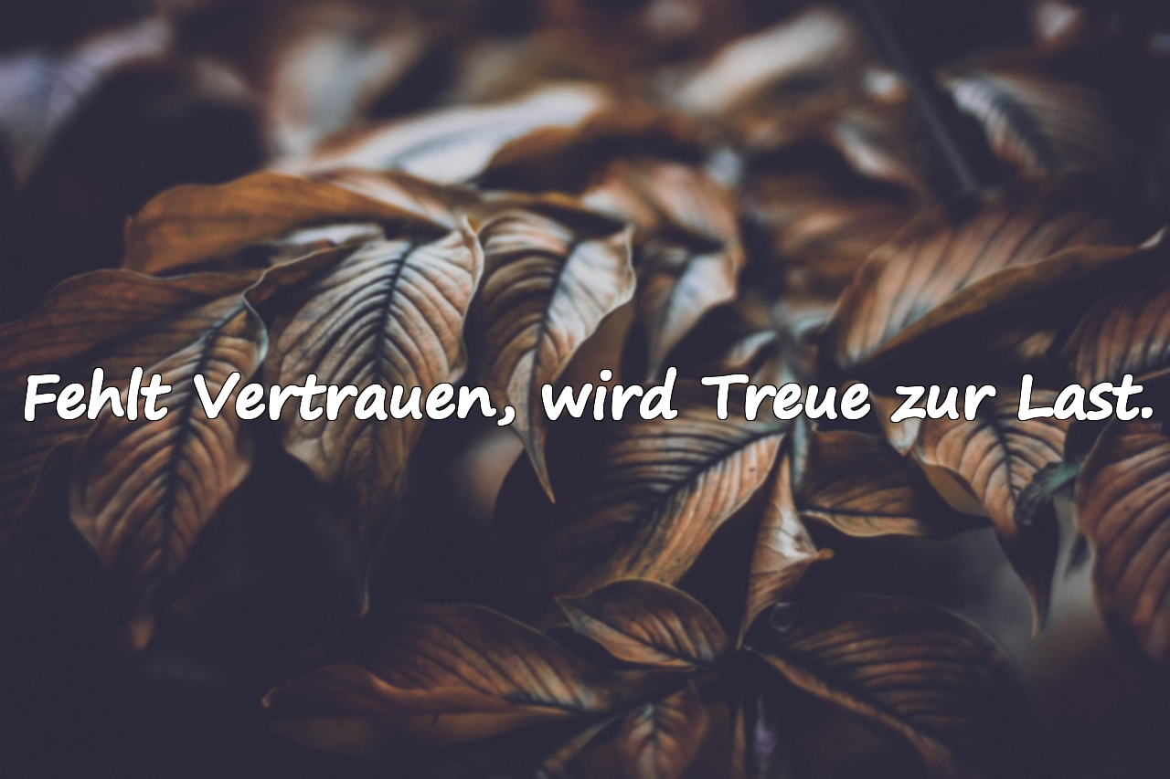 Fehlt Vertrauen, wird Treue zur Last.