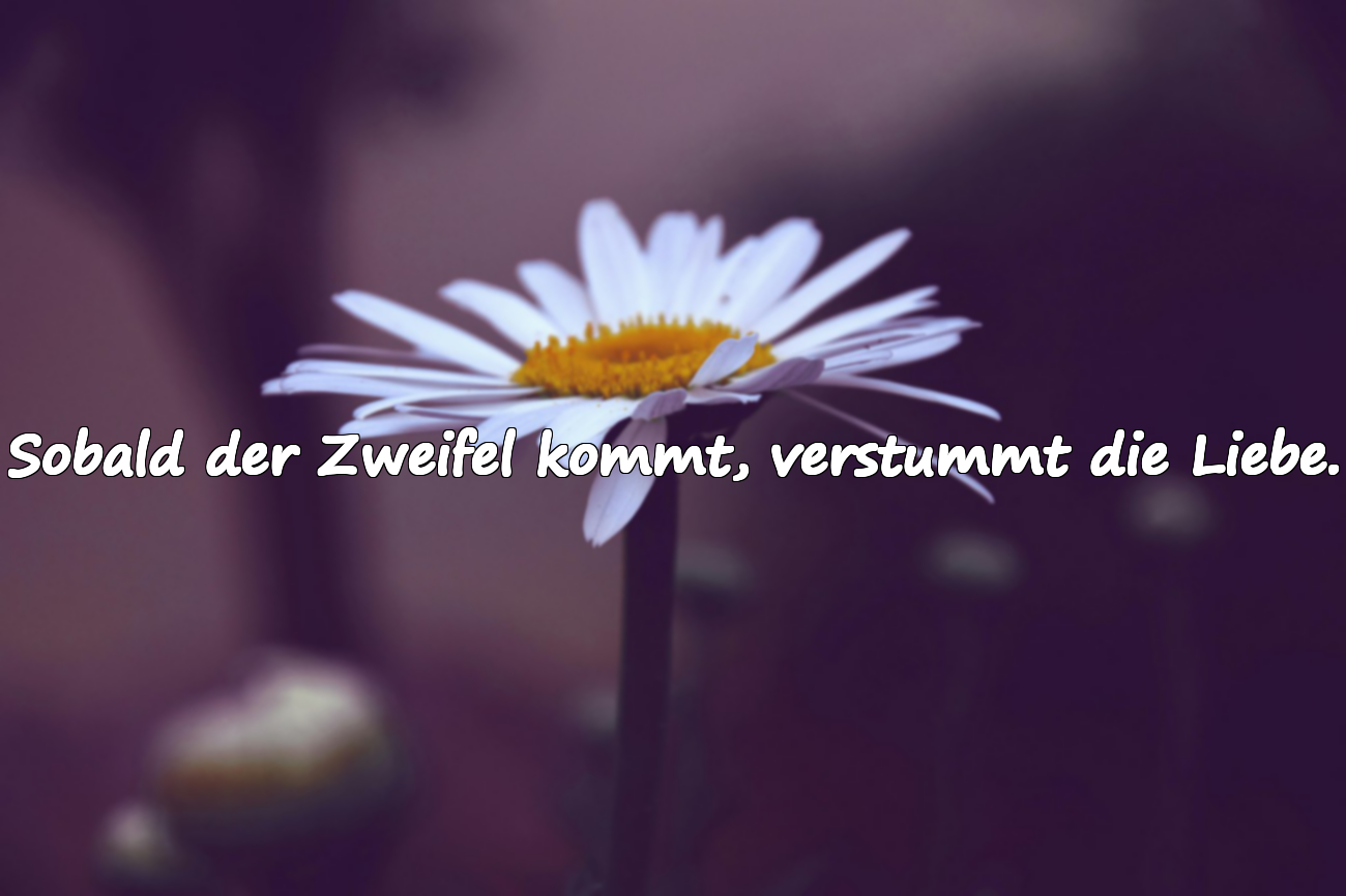 Zitate über Misstrauen