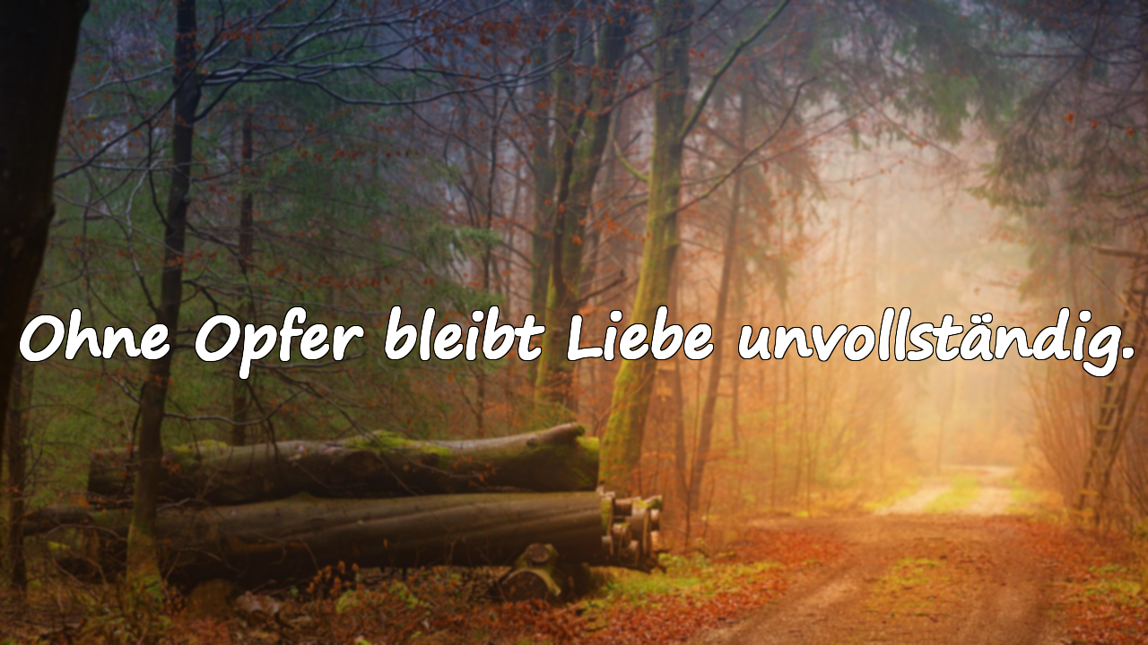 Zitate über Opferbereitschaft
