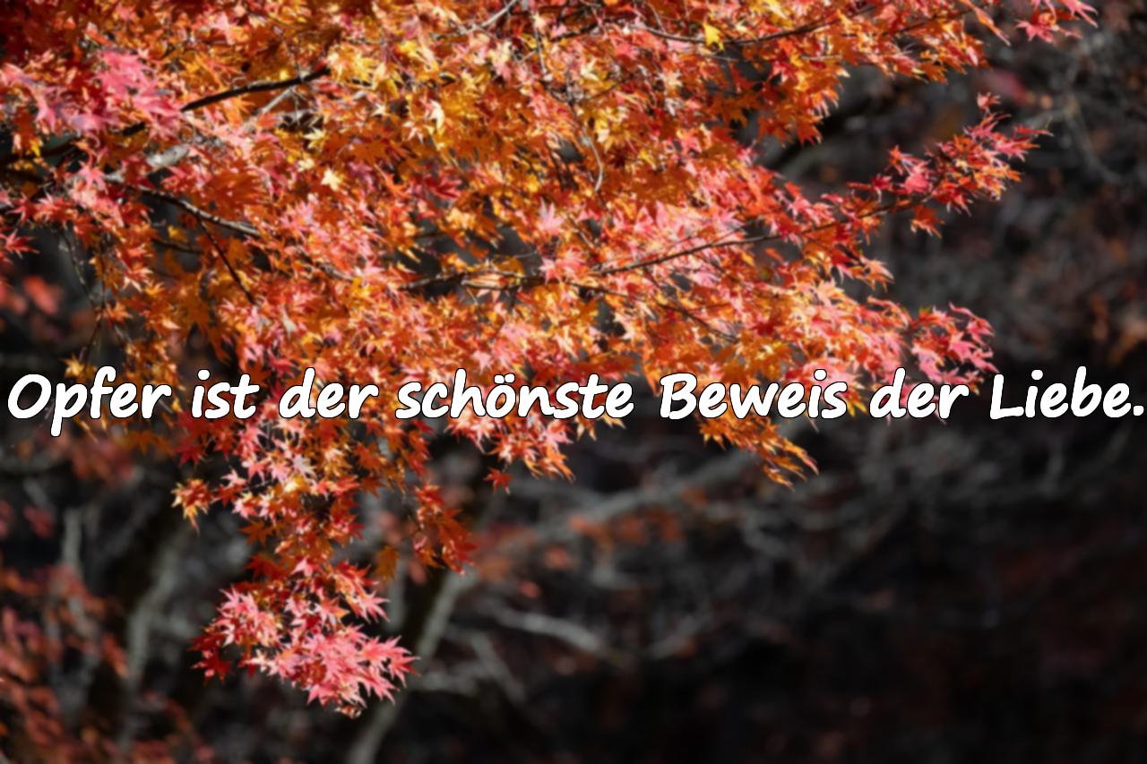 Zitate über Opferbereitschaft