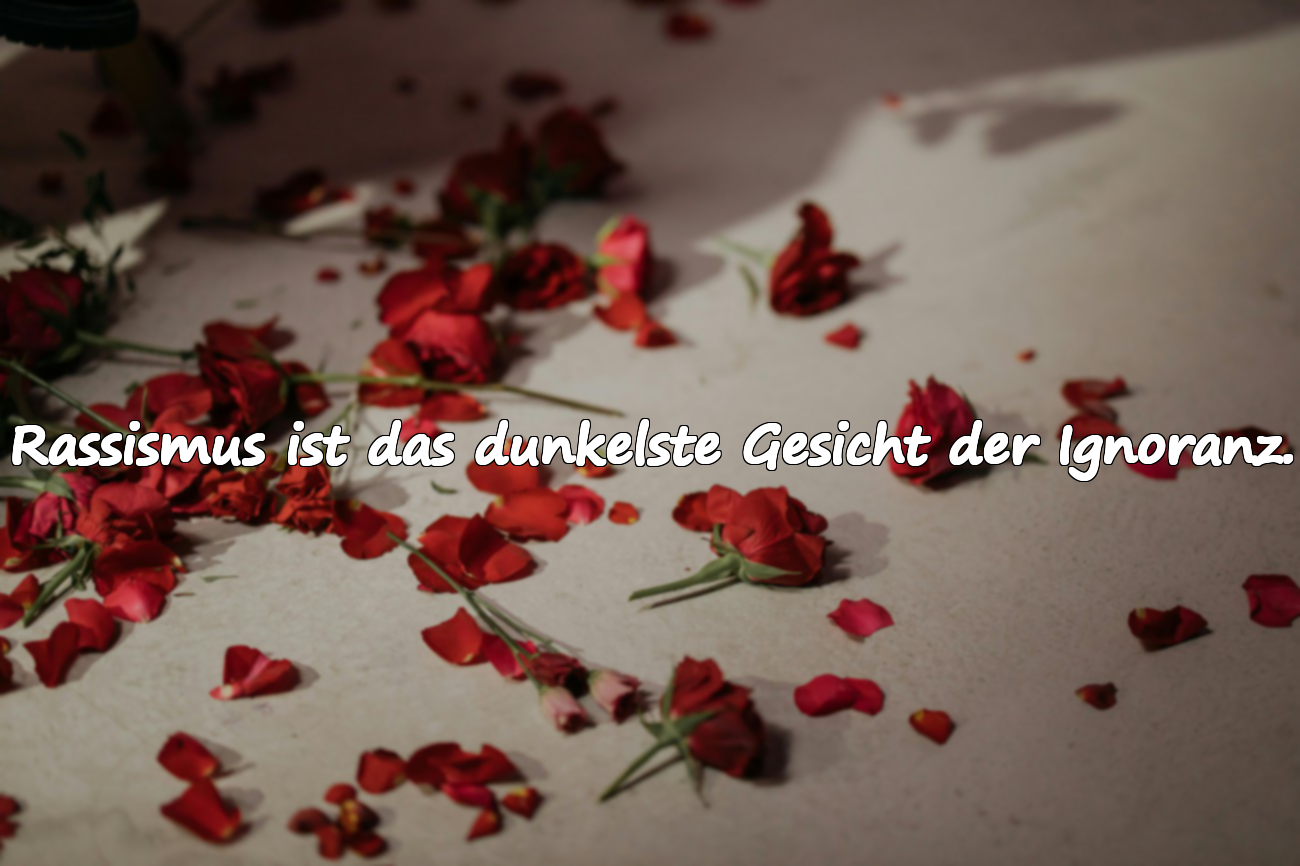 Zitate über Rassismus