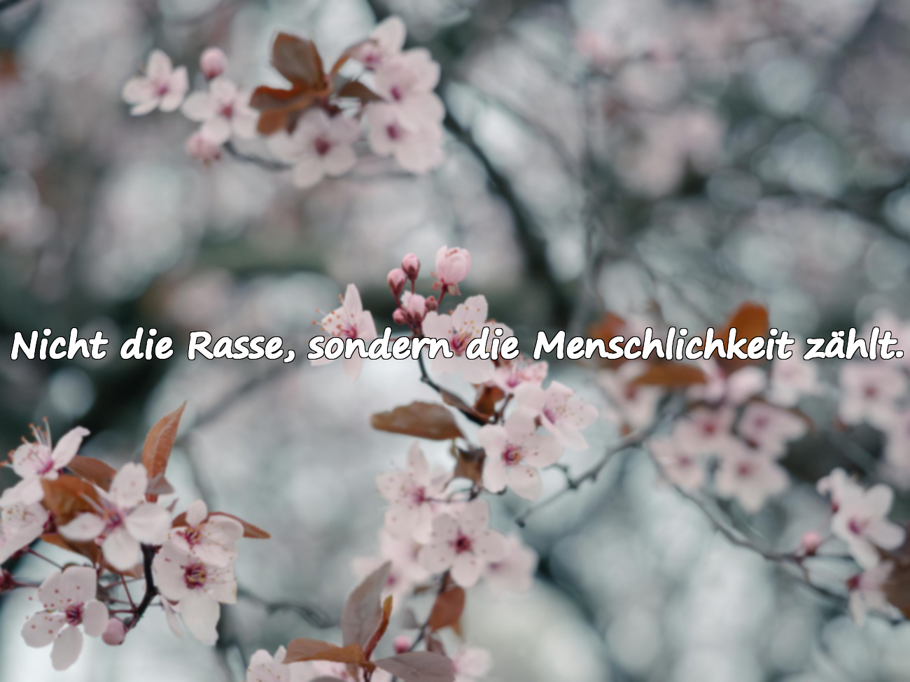 Zitate über Rassismus